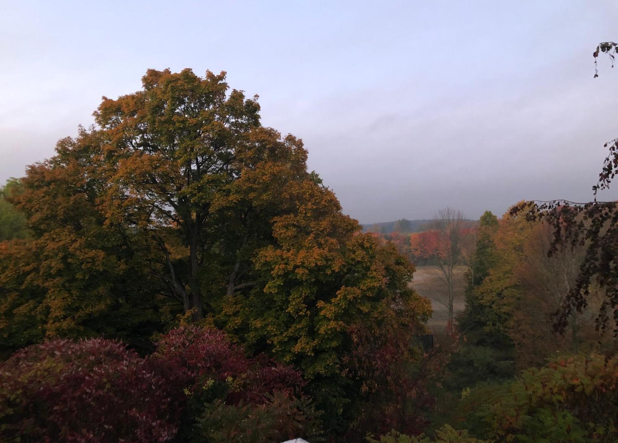 Caledon Manor And Country Inn エクステリア 写真